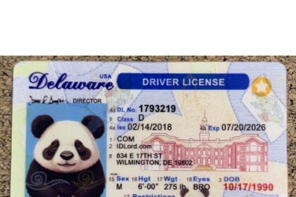 fake delaware id