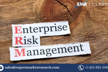 Enterprise Risk Management Market