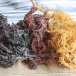 Irish Sea Moss