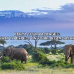 Kenya Tour Package