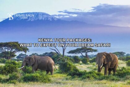 Kenya Tour Package