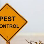 Pest Control Tips