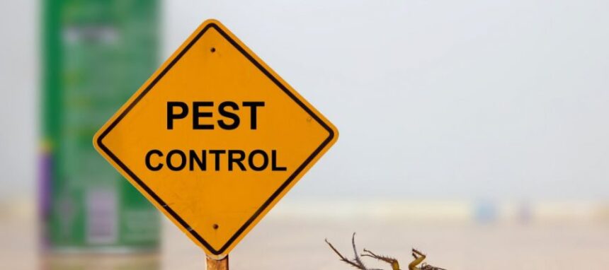 Pest Control Tips