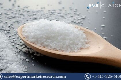 Saccharin Market