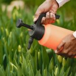 best lawn fertiliser