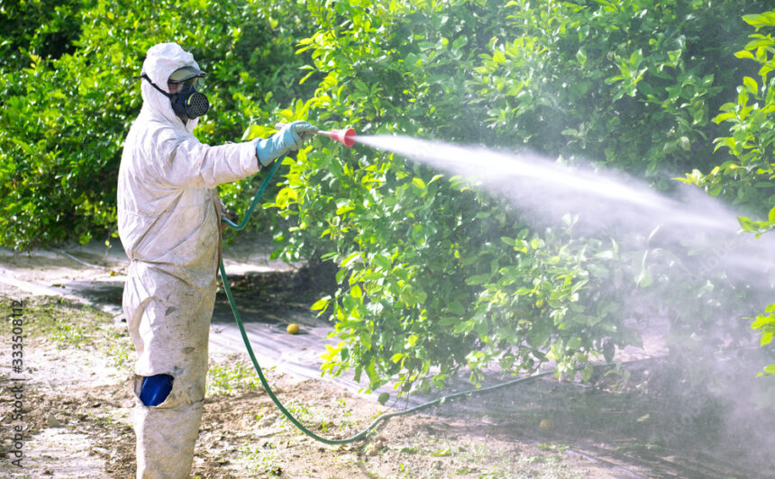 Fumigation Services in Islamabad and Guide Pest Control Service