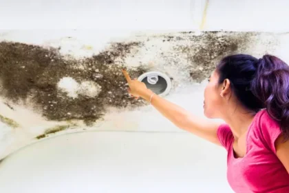 how-to-prevent-mold-in-your-home