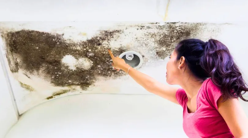 how-to-prevent-mold-in-your-home