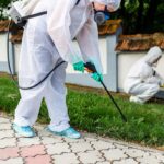 Comprehensive Guide to Pest Control and Bed Bug Treatment