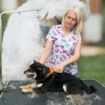 pet cremation in Adelaide