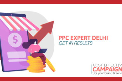 Maximize Your Ad Budget with a Professional PPC Management Company in Delhi