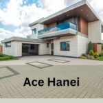 Ace Hanei