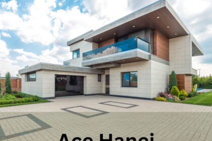 Ace Hanei