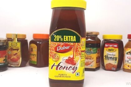 Top 10 Organic Honey Brands in India | 2024 List