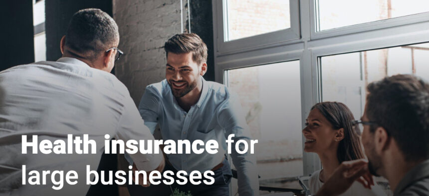 Large Businesses Medical Insurance