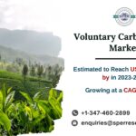 Voluntary Carbon Credit Market