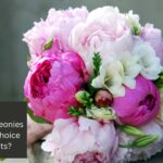 What Makes Peonies the Perfect Choice for Bouquets