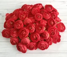 Order Roses Online