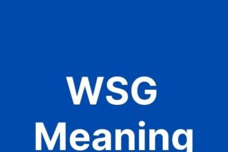 what does wsg mean in text