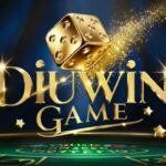 Diuwin game