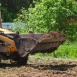 trimming, land clearing New Hampshire