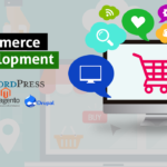 Ecommerce website development in dubai