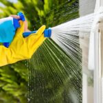 house-washing-service-in-hamilton