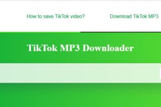 tiktok to mp3 downloader