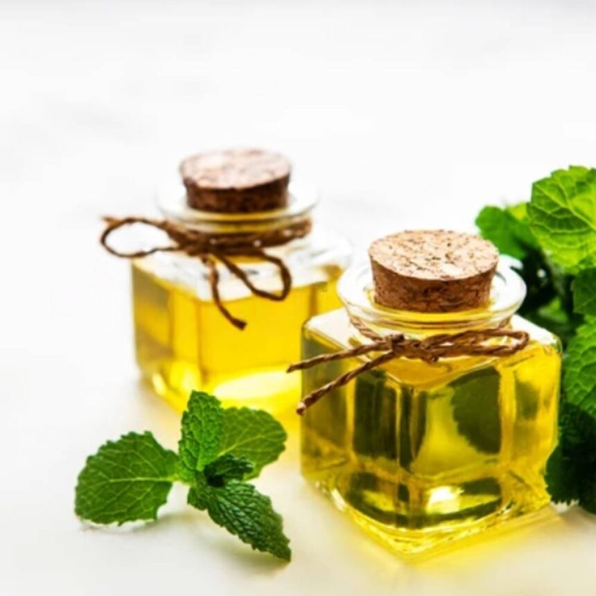 peppermint oil bulk manufacturer