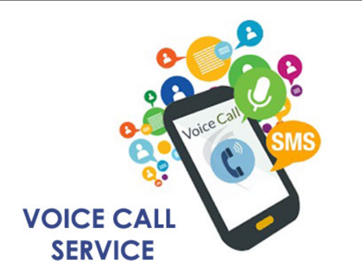 voice calls