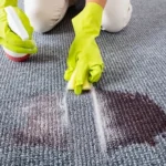 Professional Carpet Installation Services in Chicago, IL