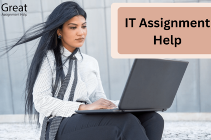 IT Assignment Help