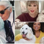 celebrity pets