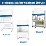 Choosing the Appropriate Biosafety Cabinet for Your Lab