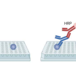 HPV IgG ELISA Kit