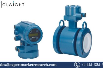 Magnetic Flowmeters Market