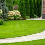 Neat and Clean Backyard