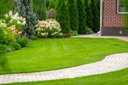 Neat and Clean Backyard