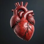 Understanding Hypokinesis Heart