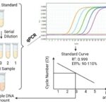 Viral Nucleic Acid Residue Assay Kits