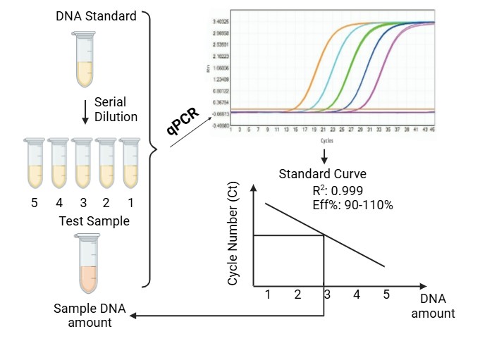 Viral Nucleic Acid Residue Assay Kits