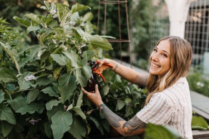 Online Gardening For Beginners