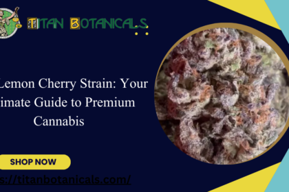 Buy Lemon Cherry Strain