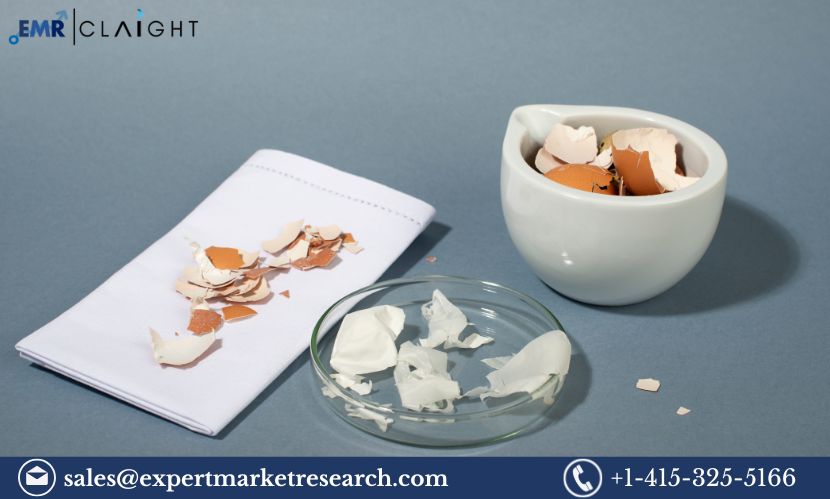 Eggshell Membrane Market