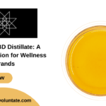 Organic CBD Distillate: A Natural Solution for Wellness Brands