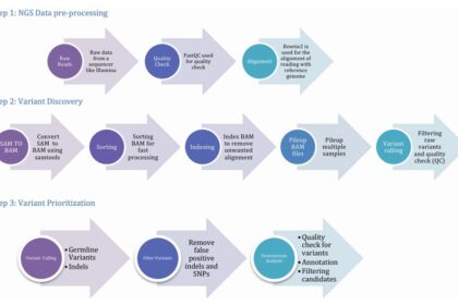 bioinformatics-workflow-of-whole-exome-sequencing