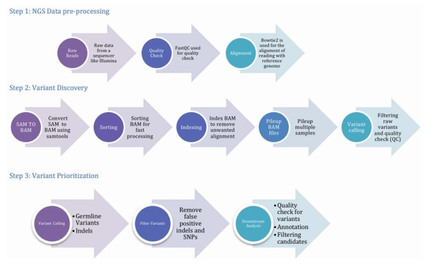 bioinformatics-workflow-of-whole-exome-sequencing