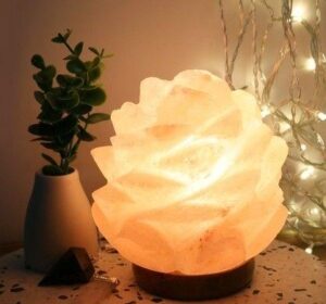 15kg Pink Himalayan Salt Lamp – Perfect for Large Spaces