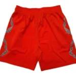 warren lotas shorts