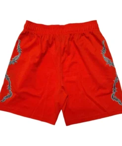 warren lotas shorts